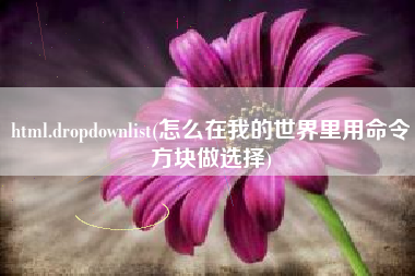 html.dropdownlist(怎么在我的世界里用命令方块做选择)