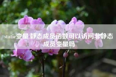 static变量,静态成员函数可以访问非静态成员变量吗
