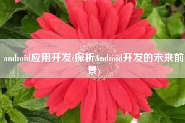 android应用开发(探析Android开发的未来前景)