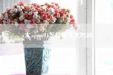 r大,oppor11怎样显示大时间