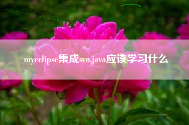 myeclipse集成svn,java应该学习什么