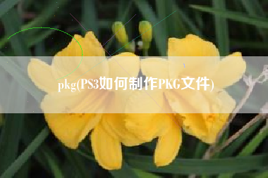 pkg(PS3如何制作PKG文件)