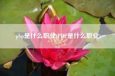 php是什么职业(PHP是什么职业)