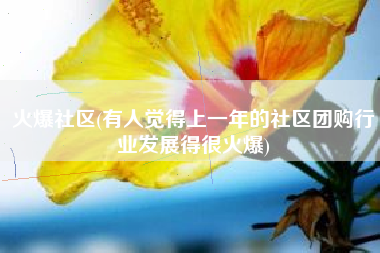 火爆社区(有人觉得上一年的社区团购行业发展得很火爆)