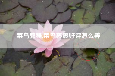 菜鸟教程,菜鸟裹裹好评怎么弄