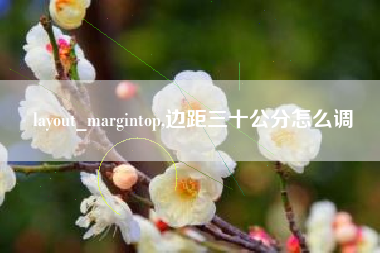 layout_margintop,边距三十公分怎么调