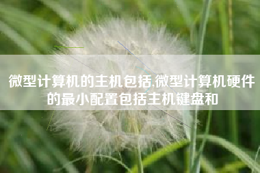 微型计算机的主机包括,微型计算机硬件的最小配置包括主机键盘和