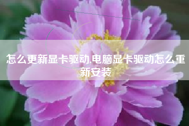 怎么更新显卡驱动,电脑显卡驱动怎么重新安装