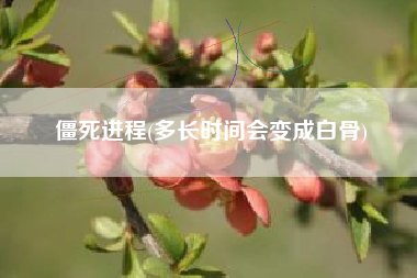 僵死进程(多长时间会变成白骨)