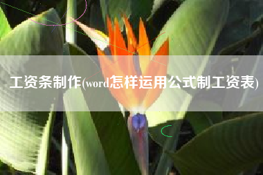 工资条制作(word怎样运用公式制工资表)
