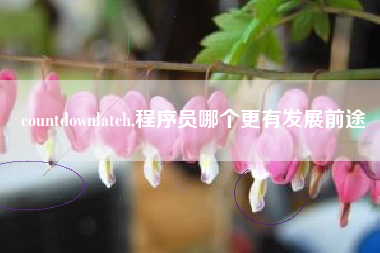 countdownlatch,程序员哪个更有发展前途