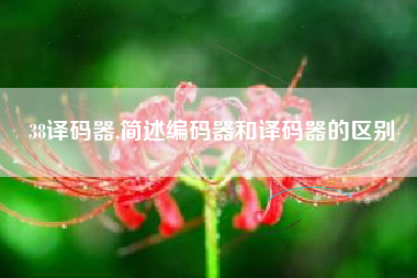 38译码器,简述编码器和译码器的区别