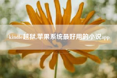 kindle越狱,苹果系统最好用的小说app