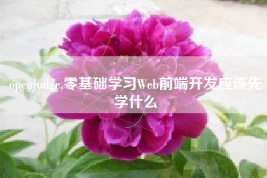 openjudge,零基础学习Web前端开发应该先学什么
