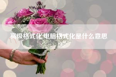 高级格式化,电脑格式化是什么意思
