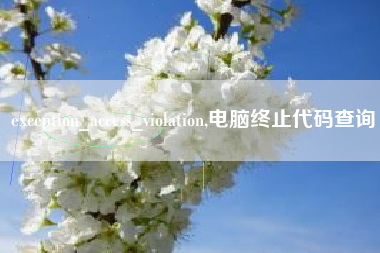 exception_access_violation,电脑终止代码查询