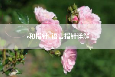 c和指针,c语言指针详解