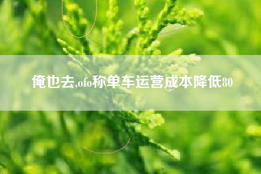 俺也去,ofo称单车运营成本降低80