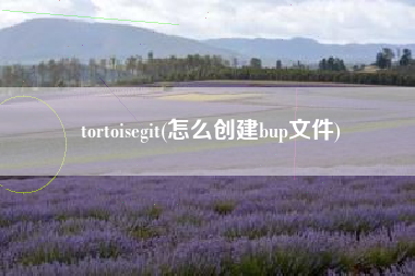 tortoisegit(怎么创建bup文件)