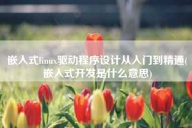 嵌入式linux驱动程序设计从入门到精通(嵌入式开发是什么意思)