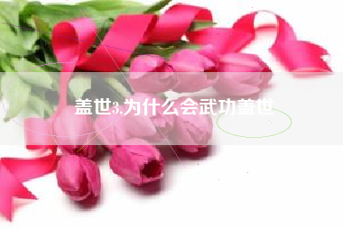 盖世3,为什么会武功盖世