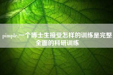 pimple,一个博士生接受怎样的训练是完整全面的科研训练