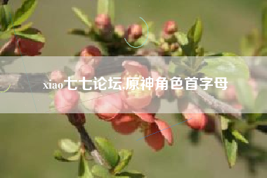 xiao七七论坛,原神角色首字母
