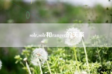 solr,solr和ranger的关系