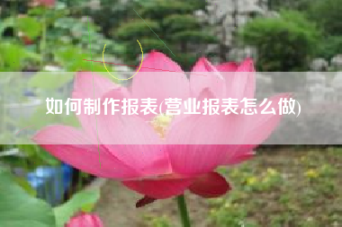 如何制作报表(营业报表怎么做)
