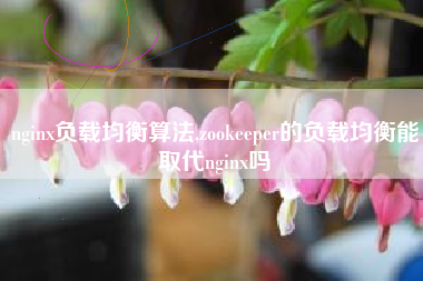 nginx负载均衡算法,zookeeper的负载均衡能取代nginx吗