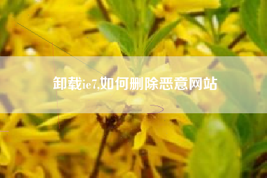 卸载ie7,如何删除恶意网站