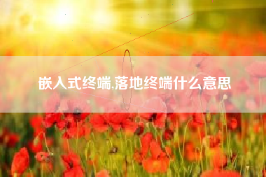 嵌入式终端,落地终端什么意思