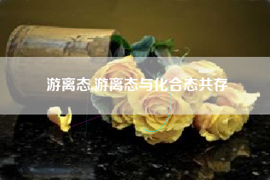游离态,游离态与化合态共存