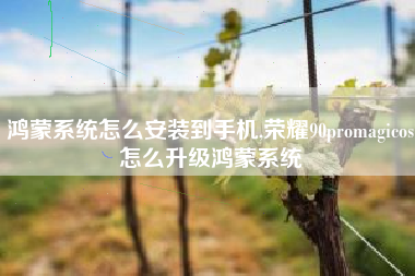 鸿蒙系统怎么安装到手机,荣耀90promagicos怎么升级鸿蒙系统