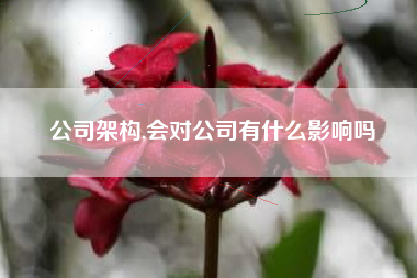 公司架构,会对公司有什么影响吗