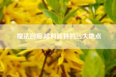 魔法回廊,哈利波特的三大地点