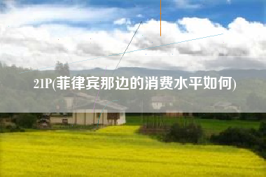 21P(菲律宾那边的消费水平如何)