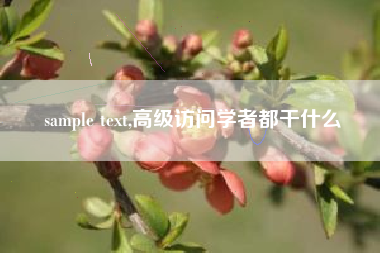 sample text,高级访问学者都干什么
