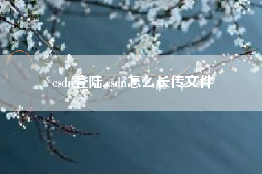 csdn登陆,csdn怎么长传文件
