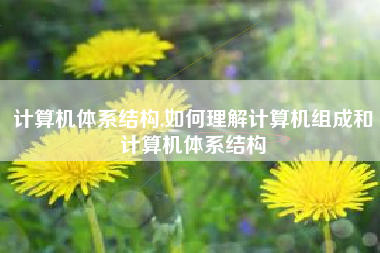计算机体系结构,如何理解计算机组成和计算机体系结构