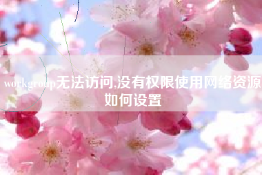 workgroup无法访问,没有权限使用网络资源如何设置