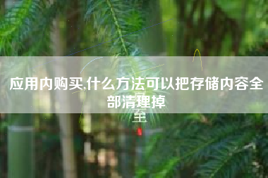 应用内购买,什么方法可以把存储内容全部清理掉