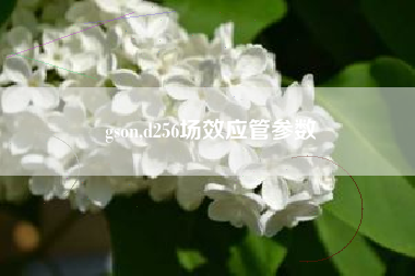 gson,d256场效应管参数