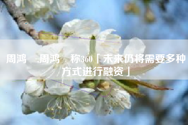 周鸿袆,周鸿祎称360「未来仍将需要多种方式进行融资」