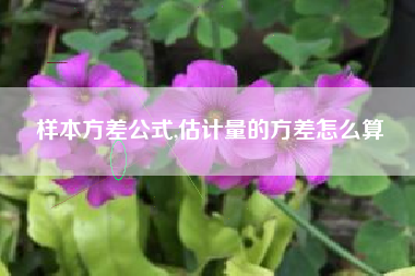 样本方差公式,估计量的方差怎么算