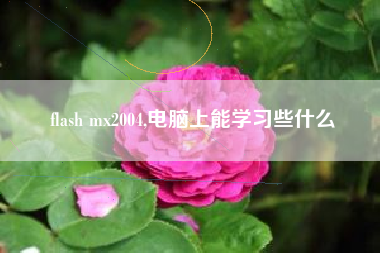 flash mx2004,电脑上能学习些什么