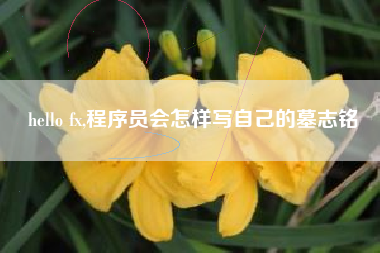 hello fx,程序员会怎样写自己的墓志铭