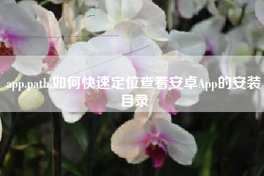 app.path,如何快速定位查看安卓App的安装目录