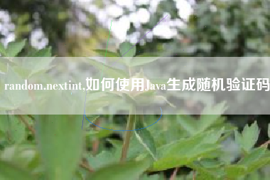 random.nextint,如何使用Java生成随机验证码