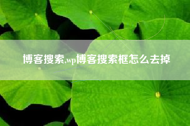 博客搜索,wp博客搜索框怎么去掉